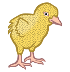chick1 - coloured